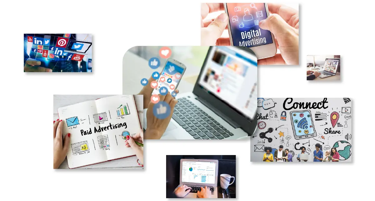 why-choose-seo